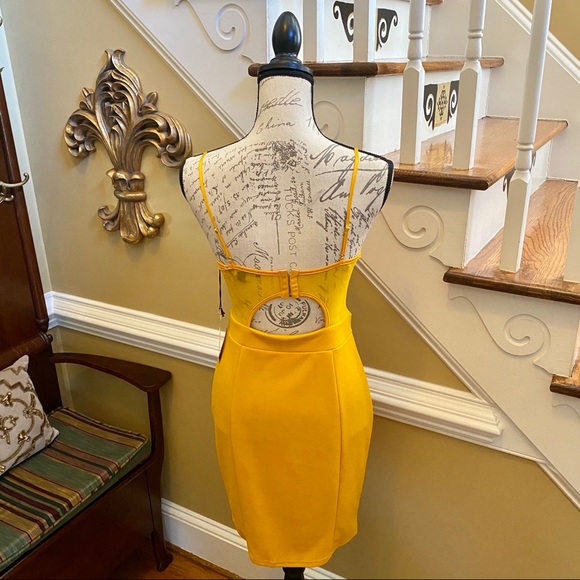 New!!! Haute Monde lace & mesh bustier dress - Picture 4 of 7